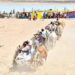 పుష్కరాల్లో భక్తుల రవాణాకు ఎడ్ల బళ్లు.. అలనాటి దృశ్యం పునరావృతం