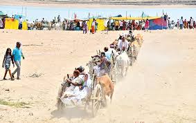 పుష్కరాల్లో భక్తుల రవాణాకు ఎడ్ల బళ్లు.. అలనాటి దృశ్యం పునరావృతం