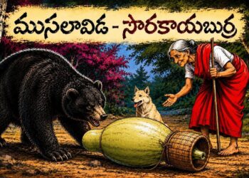 ముసలావిడ - సొరకాయబుర్ర