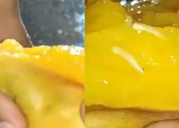 బయట మామిడి జ్యూస్ సురక్షితమేనా? తాగేముందు తెలుసుకోవాల్సిన నిజాలు