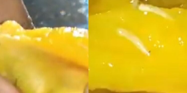 బయట మామిడి జ్యూస్ సురక్షితమేనా? తాగేముందు తెలుసుకోవాల్సిన నిజాలు 1 బయట మామిడి జ్యూస్ సురక్షితమేనా? తాగేముందు తెలుసుకోవాల్సిన నిజాలు