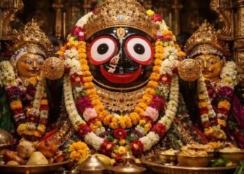 జగన్నాథుడి విగ్రహాలు ఎందుకు మారుస్తారు? నవకళేబర మహోత్సవం వెనుక రహస్యం ఇదే 6 జగన్నాథుడి విగ్రహాలు ఎందుకు మారుస్తారు? నవకళేబర మహోత్సవం వెనుక రహస్యం ఇదే