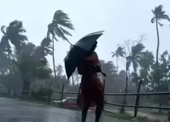 నేడు ఉమ్మడి ఆదిలాబాద్‌, నిజామాబాద్‌లో భారీ వర్షాలు.. వాతావరణశాఖ హెచ్చరిక