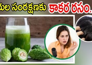 ఆరోగ్యానికే కాదు.. జుట్టుకూ కాకరకాయ ప్రయోజనాలు
