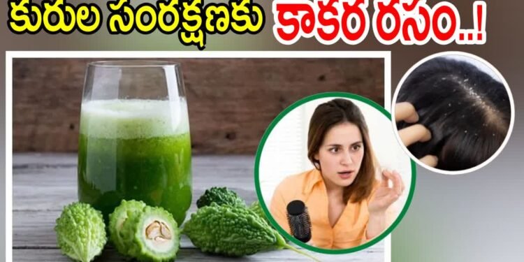 ఆరోగ్యానికే కాదు.. జుట్టుకూ కాకరకాయ ప్రయోజనాలు
