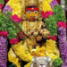 మహంకాళి అమ్మవారికి మహా మంగళహారతి 8 మహంకాళి అమ్మవారికి మహా మంగళహారతి