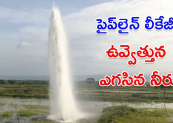 రెండు రోజులుగా పైప్లైన్ లీకేజీ.. నీట మునుగుతున్న నారుమళ్లు 4 రెండు రోజులుగా పైప్లైన్ లీకేజీ.. నీట మునుగుతున్న నారుమళ్లు