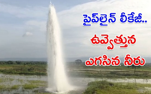 రెండు రోజులుగా పైప్లైన్ లీకేజీ.. నీట మునుగుతున్న నారుమళ్లు 1 రెండు రోజులుగా పైప్లైన్ లీకేజీ.. నీట మునుగుతున్న నారుమళ్లు