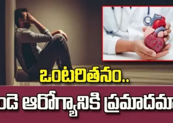 ఒంటరితనం నుంచి ఒత్తిడి వరకు.. గుండె ఆరోగ్యంపై ప్రభావం ఇలా
