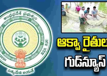 ఆక్వా రైతులకు భారీ ఊరట.. రూ.1.50కే విద్యుత్ అందించనున్న ఏపీ ప్రభుత్వం