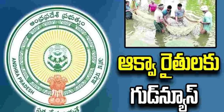 ఆక్వా రైతులకు భారీ ఊరట.. రూ.1.50కే విద్యుత్ అందించనున్న ఏపీ ప్రభుత్వం 1 ఆక్వా రైతులకు భారీ ఊరట.. రూ.1.50కే విద్యుత్ అందించనున్న ఏపీ ప్రభుత్వం