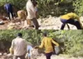 తిరుపతి జిల్లాలో లారీ బోల్తా.. రోడ్డుపై పడిన కోళ్ల కోసం ఎగబడిన జనం 11 తిరుపతి జిల్లాలో లారీ బోల్తా.. రోడ్డుపై పడిన కోళ్ల కోసం ఎగబడిన జనం