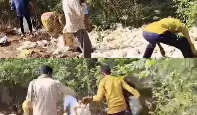 తిరుపతి జిల్లాలో లారీ బోల్తా.. రోడ్డుపై పడిన కోళ్ల కోసం ఎగబడిన జనం 1 తిరుపతి జిల్లాలో లారీ బోల్తా.. రోడ్డుపై పడిన కోళ్ల కోసం ఎగబడిన జనం