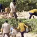 తిరుపతి జిల్లాలో లారీ బోల్తా.. రోడ్డుపై పడిన కోళ్ల కోసం ఎగబడిన జనం 8 తిరుపతి జిల్లాలో లారీ బోల్తా.. రోడ్డుపై పడిన కోళ్ల కోసం ఎగబడిన జనం