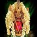 కావడులతో తరలివచ్చిన భక్తులు.. సుబ్రహ్మణ్యస్వామికి ప్రత్యేక పూజలు 8 కావడులతో తరలివచ్చిన భక్తులు.. సుబ్రహ్మణ్యస్వామికి ప్రత్యేక పూజలు