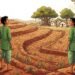 ఆశతో ఎదిగిన రైతు
