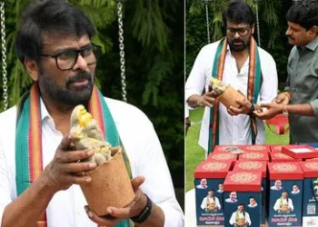 సీడ్ గణేశుడిని పూజించండి.. మొక్కగా పెంచండి: చిరంజీవి 1 సీడ్ గణేశుడిని పూజించండి.. మొక్కగా పెంచండి: చిరంజీవి