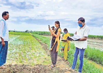 ఈ-పంటలో నమోదైతేనే బీమా భరోసా