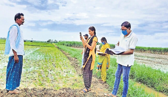 ఈ-పంటలో నమోదైతేనే బీమా భరోసా 1 ఈ-పంటలో నమోదైతేనే బీమా భరోసా