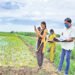 ఈ-పంటలో నమోదైతేనే బీమా భరోసా 8 ఈ-పంటలో నమోదైతేనే బీమా భరోసా