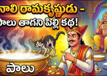 పిల్లి కథలో దాగిన గొప్ప నీతి.. రామకృష్ణుడి సమయస్ఫూర్తి 1 పిల్లి కథలో దాగిన గొప్ప నీతి.. రామకృష్ణుడి సమయస్ఫూర్తి