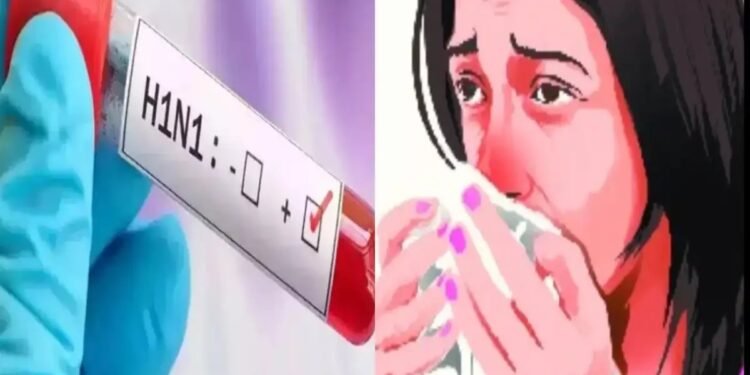 2,300 దాటిన స్వైన్‌ఫ్లూ కేసులు.. దిల్లీ సర్కారు కీలక సమీక్ష