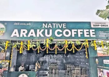 డ్వాక్రా మహిళలకు చంద్రన్న భరోసా.. టీ, కాఫీ సెంటర్లతో స్వయం ఉపాధి