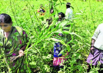 మంచి మనసే మహానిధి 25 మంచి మనసే మహానిధి