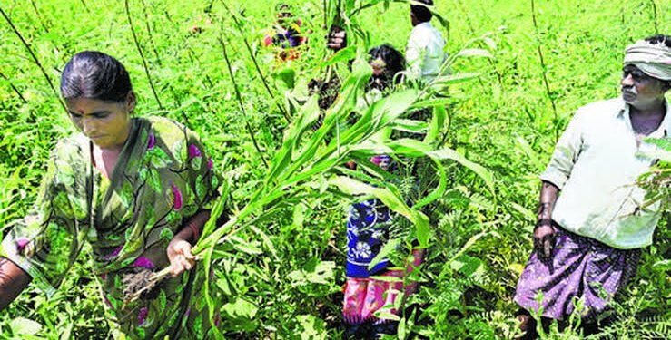 మంచి మనసే మహానిధి