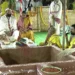 నాగార్జునసాగర్‌లో ఘనంగా వరుణయాగం.. పూర్ణాహుతికి సీఎం రేవంత్‌రెడ్డి