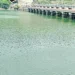 కృష్ణా పరీవాహకంలో కరువు ఛాయలు.. జలాశయాల్లో నీటి కొరత