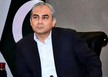 రెండు టెస్టుల్లో ఓటమి.. భారత్‌ ఓటములను ప్రస్తావిస్తూ పీసీబీ చీఫ్‌ సమర్థన