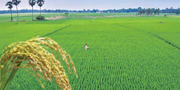 తెలంగాణలో వానాకాలం వెలవెల.. ఆగస్టులోనూ వర్షాభావమే
