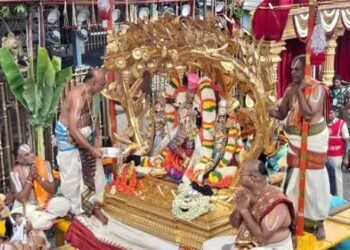 కల్పవృక్ష వాహనంపై గోవుల గోపన్న అలంకారంలో శ్రీమలయప్ప