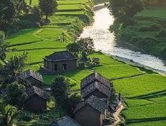మట్టివాసన మరియు నాన్న సైకిల్