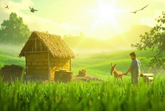 మట్టి వాసన – వెలుగు చూసిన ఉదయం 1 మట్టి వాసన – వెలుగు చూసిన ఉదయం