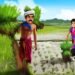 రైతు నిజాయితీ – మట్టి కుండ రహస్యం 8 రైతు నిజాయితీ – మట్టి కుండ రహస్యం