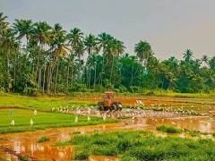 మట్టి పరిమళం