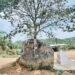 బండను చీల్చిన గుండెరా! 8 బండను చీల్చిన గుండెరా!