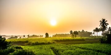 మట్టి వాసన – కొత్త ఉదయం