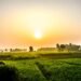 మట్టి వాసన – కొత్త ఉదయం